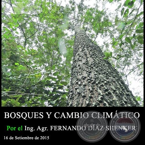 BOSQUES Y CAMBIO CLIMÁTICO - Ing. Agr. FERNANDO DÍAZ SHENKER - 16 de Setiembre de 2015